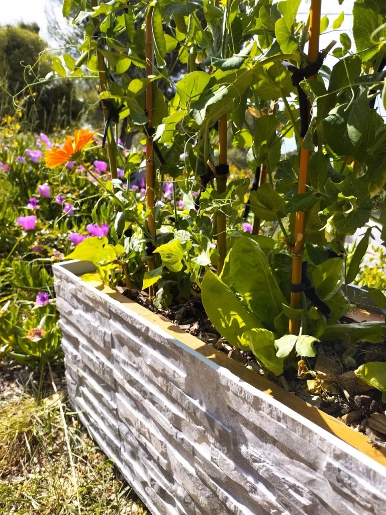Jardinières bioclimatique Terre mik